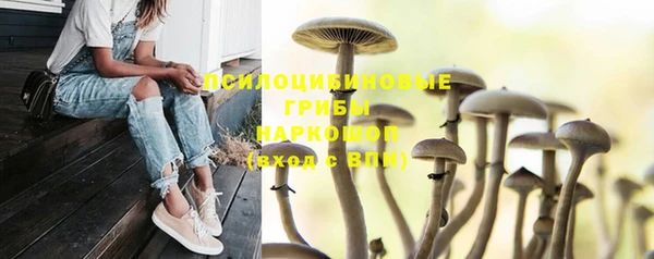 круглые Армянск