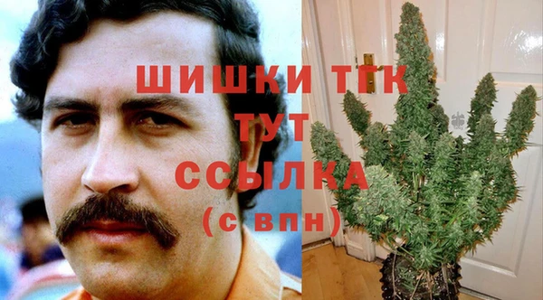 spice Аркадак