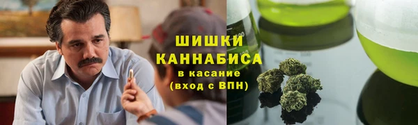 spice Аркадак