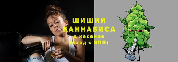 прущие грибы Арсеньев