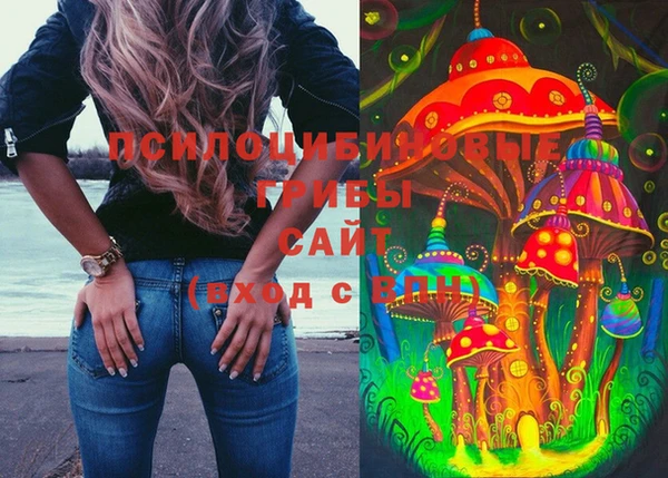 прущие грибы Арсеньев
