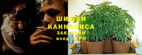 прущие грибы Арсеньев