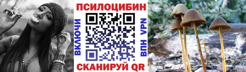 Галлюциногенные грибы Psilocybine cubensis  наркошоп  Ковылкино 